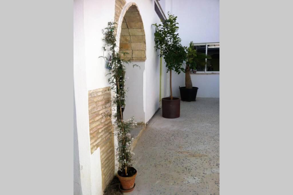Apartmán Casa Florinda #7 Jerez de la Frontera Exteriér fotografie